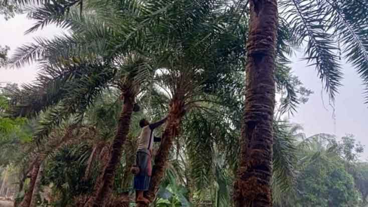 কাঁচা রস বিক্রি বন্ধের অনুরোধ স্বাস্থ্য অধিদপ্তরের